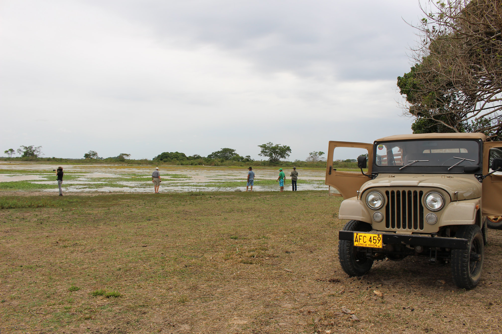 Wildlife Observation Tours